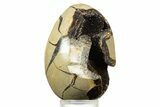 Bargain, Septarian Dragon Egg Geode - Sparkly Black Crystals #344443-1